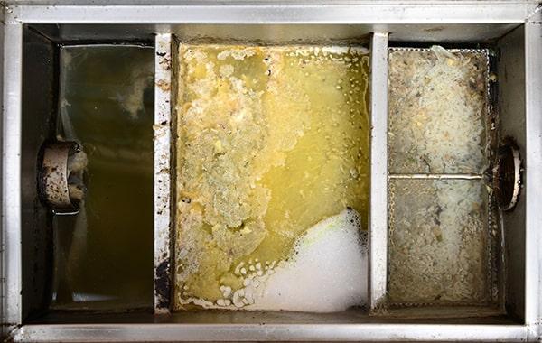 delaying grease interceptor cleaning can lead to ecological contamination, foul odors, and plumbing problems